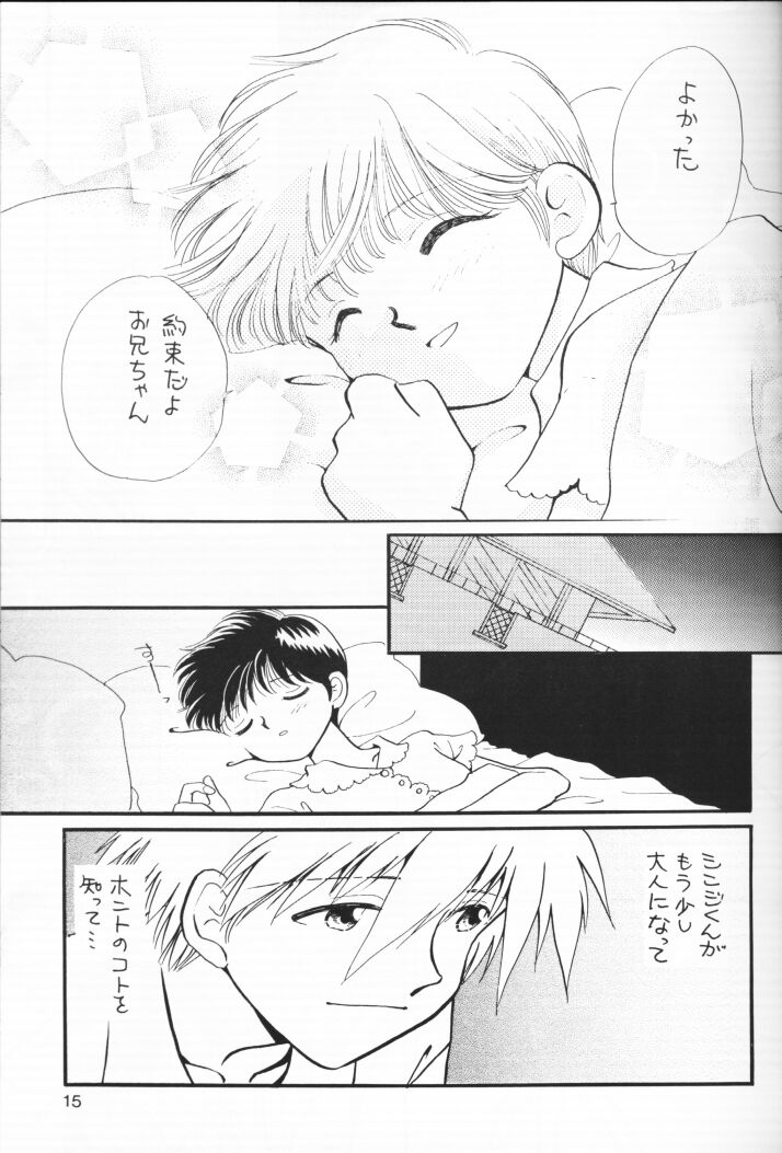 (C54) [Nikkou Kikaku (Gotou Noriko)] Chiisana Koi no Melody (Neon Genesis Evangelion) page 14 full