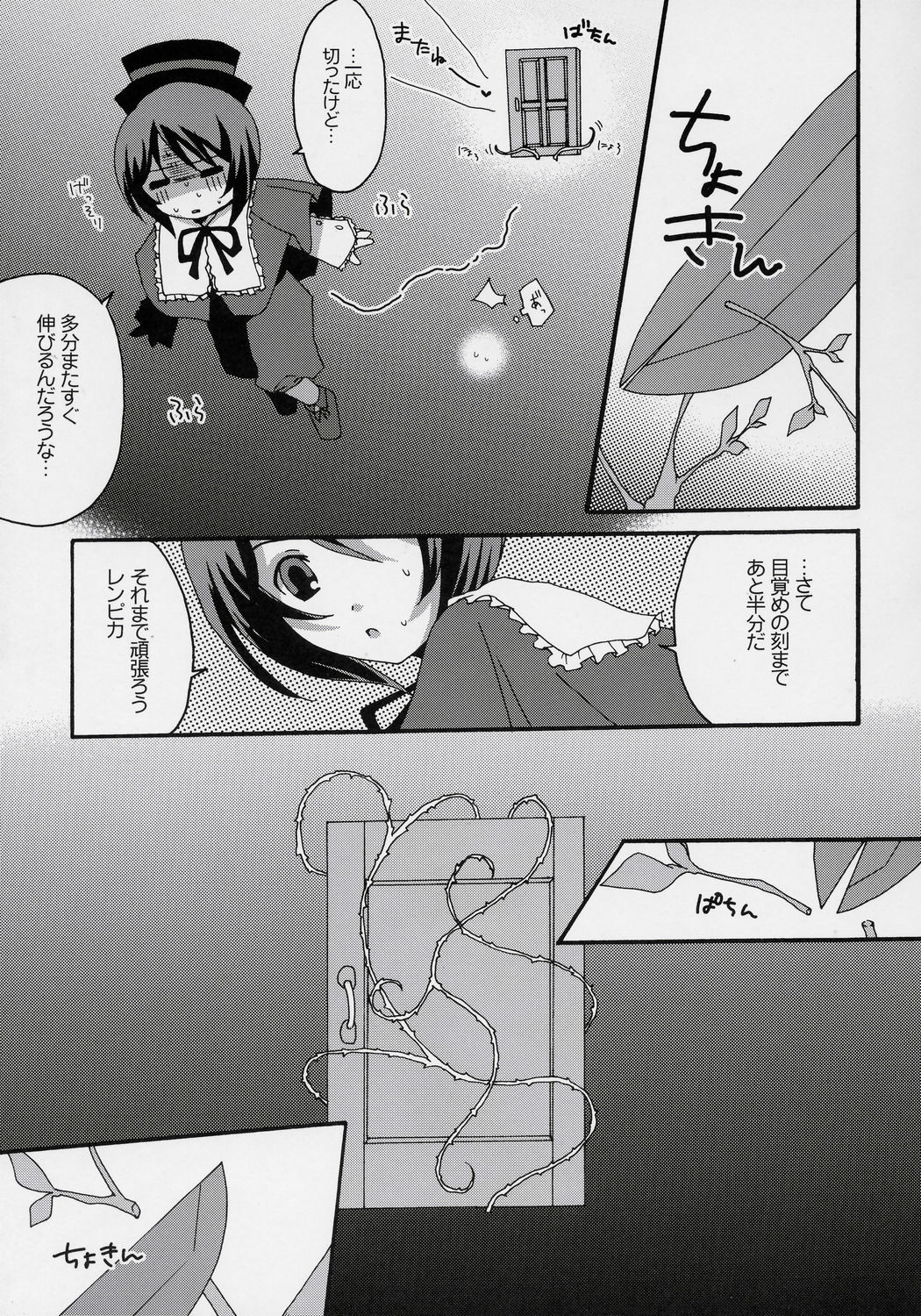 (SC32) [Tounantou (Mai)] Niwashi no Yuuutsu na Gogo (Rozen maiden) page 14 full
