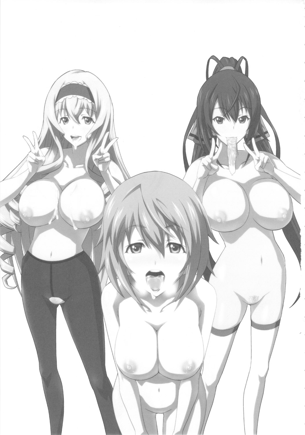 (COMIC1☆5) [Kamoro-Sa-Z (Oobanburumai)] Infinite DoStratos (Infinite Stratos) page 2 full