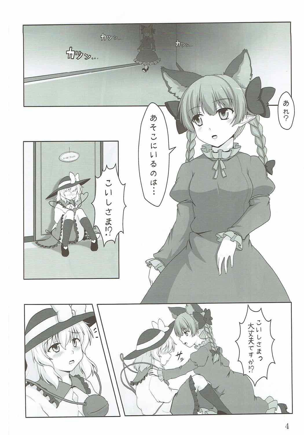 (Reitaisai 11) [E project (Go3)] Cat Paranoia (Touhou Project) page 3 full