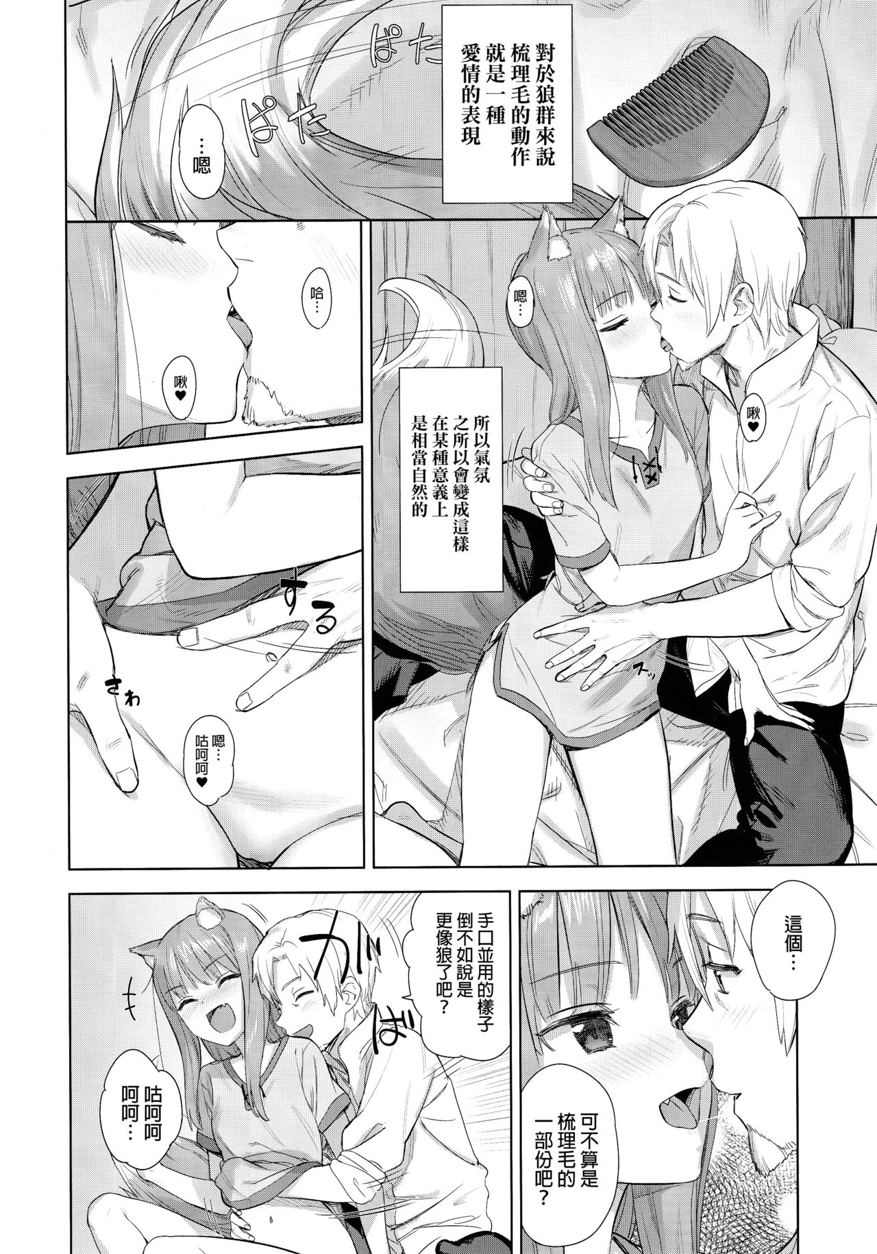 (C96) [Ajisaidenden (Kawakami Rokkaku, Takanashi Rei)] Wacchi to Shippori Kezukuroi Bon (Spice and Wolf) [Chinese] [final個人漢化] page 5 full