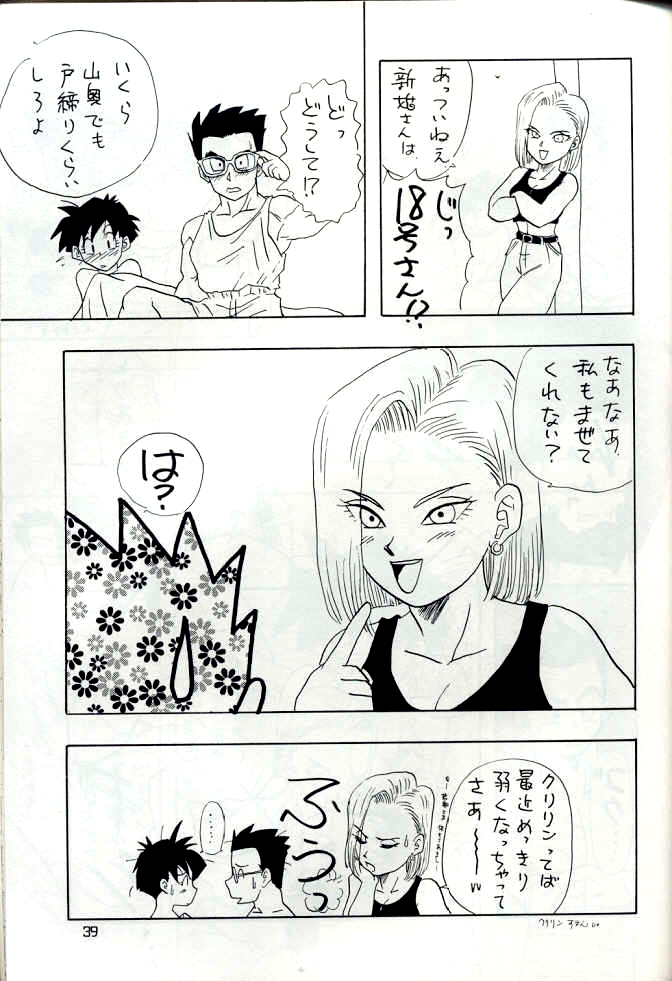 [Chirigami Goya, Fusuma go Ten (Shouji Hariko)] YYY (Dragon Ball) page 39 full