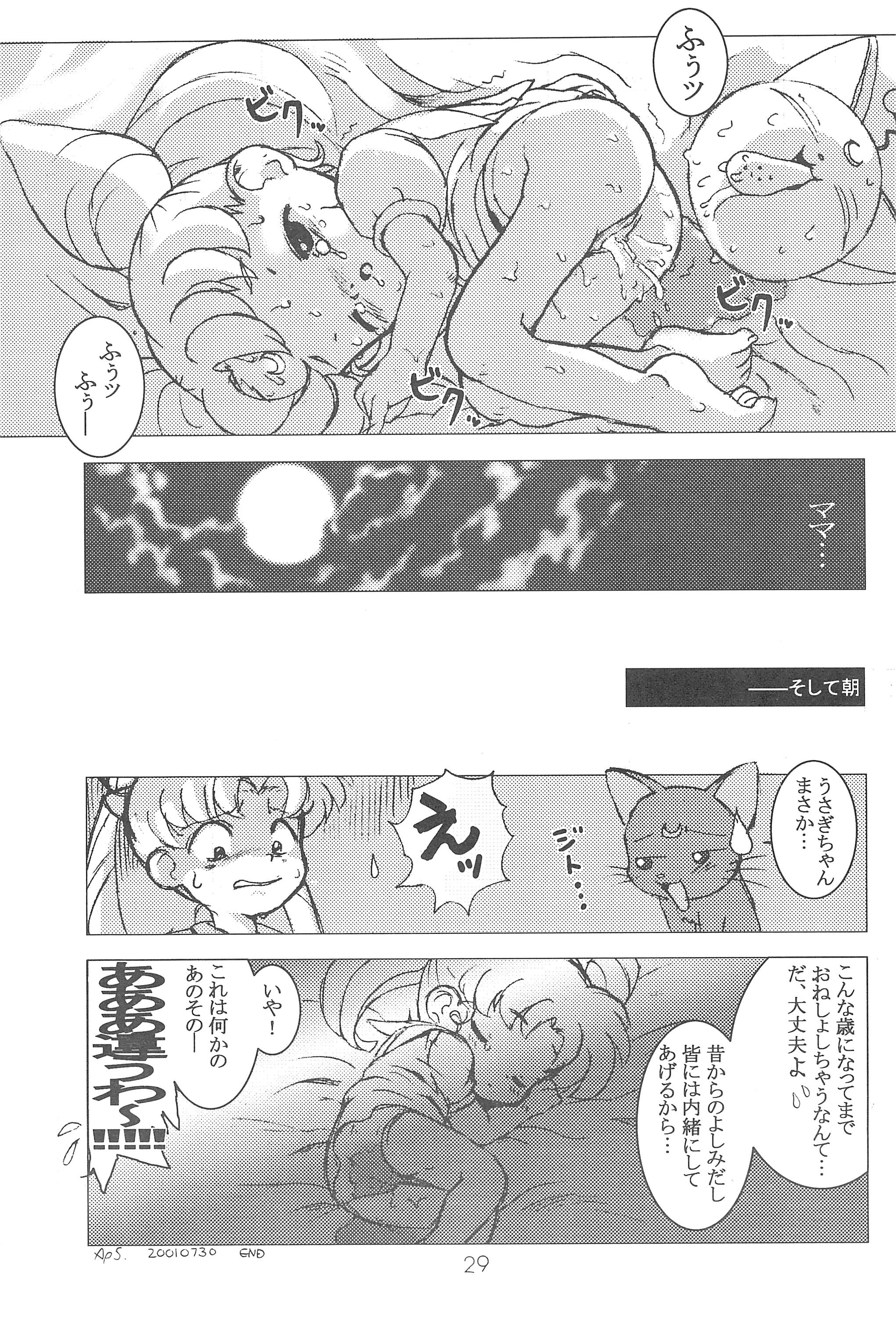 (C60) [Group 601 (Various)] Kousagi Hotaru-hime (Bishoujo Senshi Sailor Moon) page 29 full