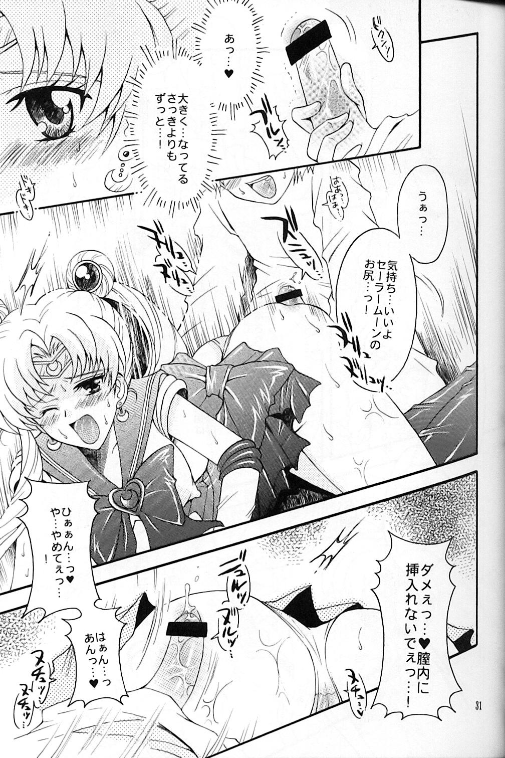 (C67) [Kotori Jimusho (Sakura Bunchou)] chanson de I'adieu (Sailor Moon) page 32 full