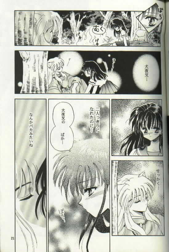 [Totsuzen Kikakutou] Aidaro!? Ai (Inuyasha) page 5 full