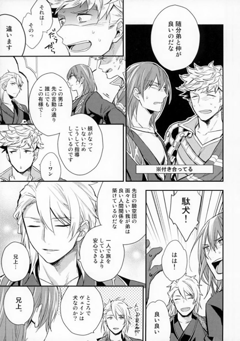 (C91) [Shuukyuu Itsukasei (Touya Tsuduru)] Aniue ga Miteru! (Granblue Fantasy) page 4 full