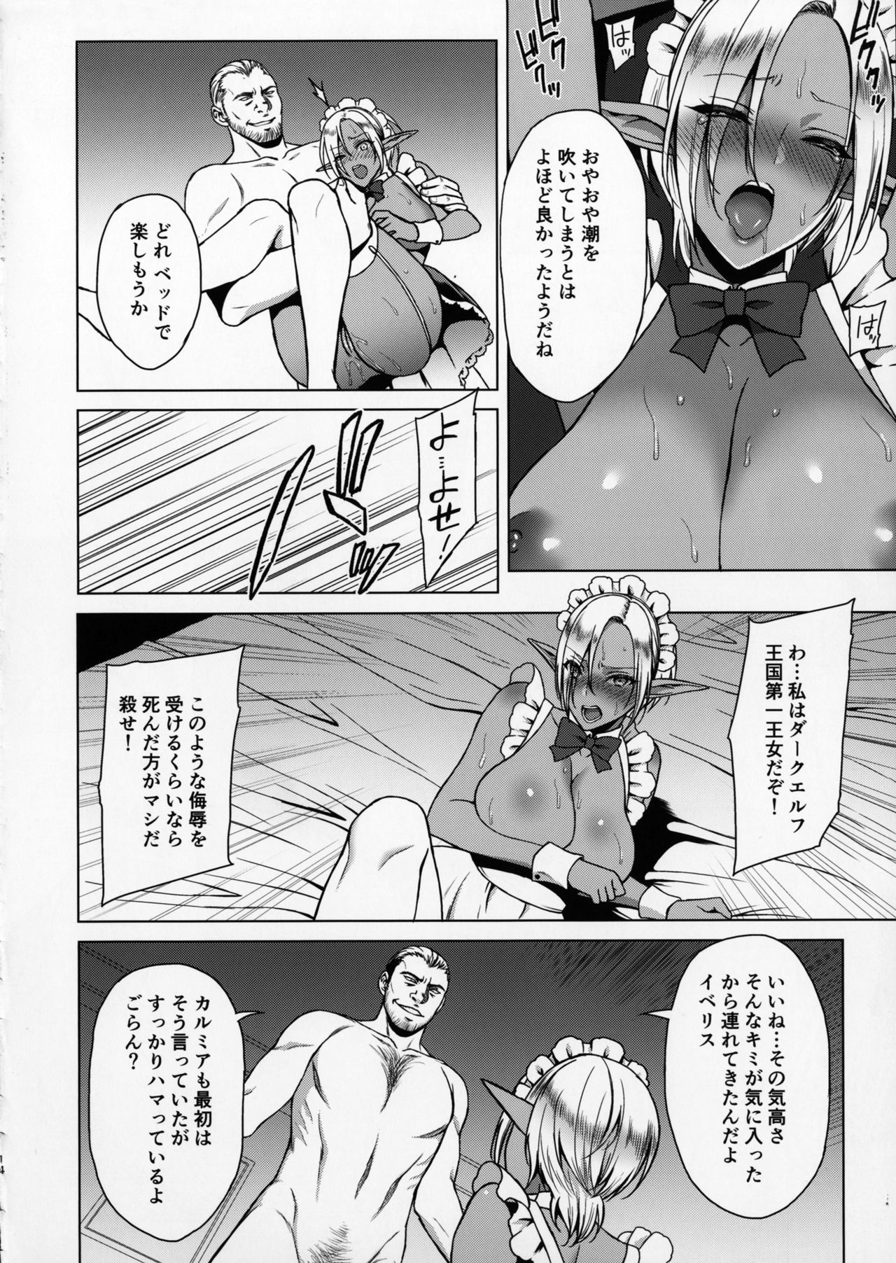 (C91) [H.B.A (Usagi Nagomu)] Reizoku Elf Maid + C91 Kaijou Genteibon page 13 full