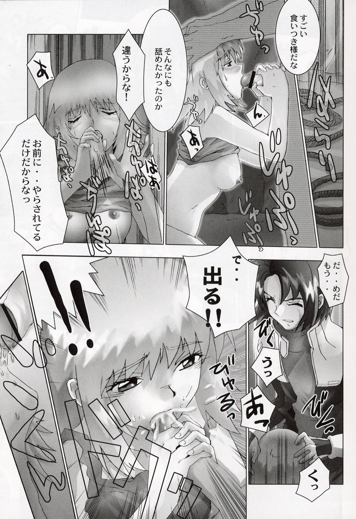 (C64) [Toluene Ittokan (Pierre Norano, Shinagawa Ham)] Ketsu Megaton Seed (Gundam Seed) page 10 full
