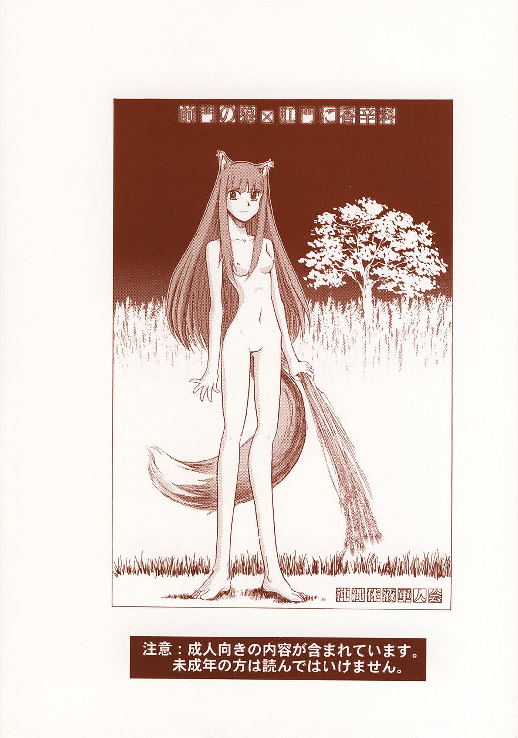 [Okinawa Taieki Gunjinkai] Zenmon no Ookami x Koumon ni Kousinryou (Spice and Wolf) page 18 full