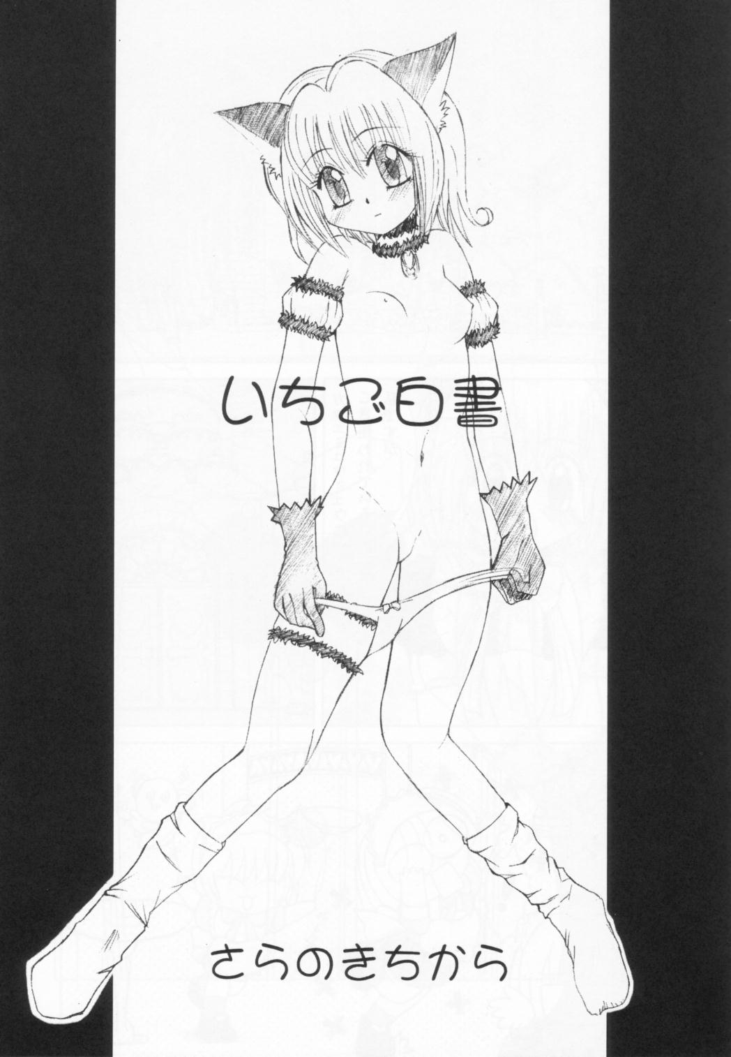 [Genki Honpo (Daifuku Keiji, Saranoki Chikara)] Tokyo Nekomusume (Tokyo Mew Mew) page 4 full