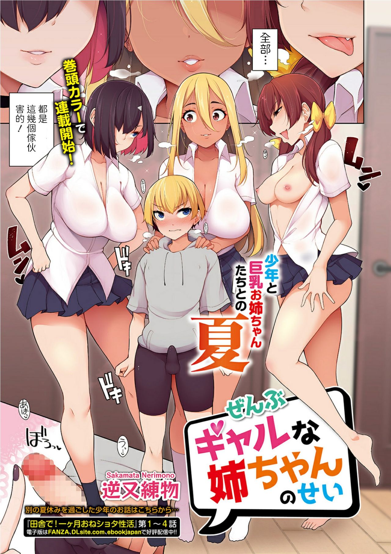 [Sakamata Nerimono] Zenbu Gal na Nee-chan no Sei (COMIC Shigekiteki SQUIRT!! Vol. 19) [Chinese] [Digital] page 1 full