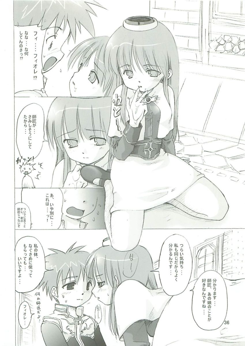 (SC23) [PARANOIA CAT (Fujiwara Shunichi)] Himitsu no Guild ni Goyoujin 1+2+α (Ragnarok Online) page 35 full