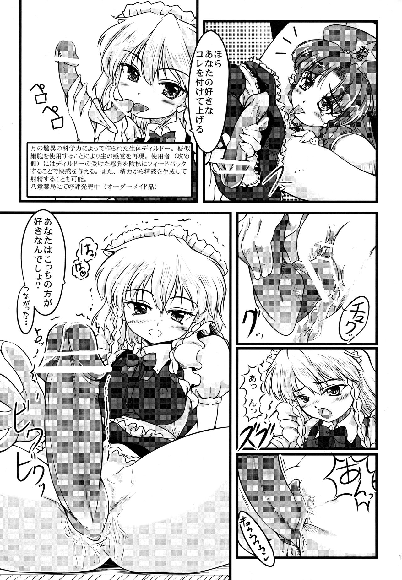 (C77) [LeimkissA (Nekohane Ryou)] ki sou ei ka (Touhou Project) page 10 full