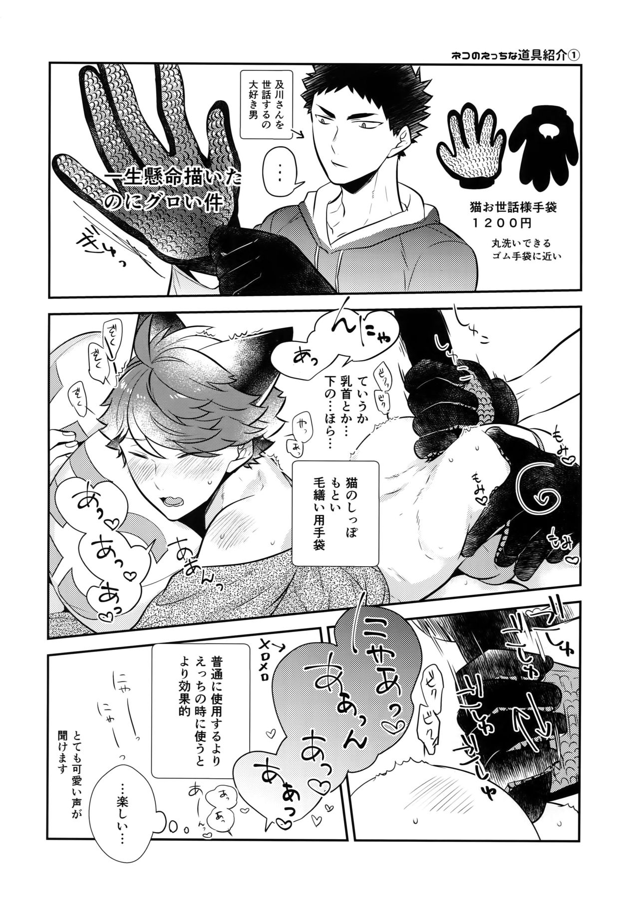 (RTS!!18) [Rototika (Kamishi Yue)] Iwachan no Neko ni Naritai 7 (Haikyuu!!) page 9 full