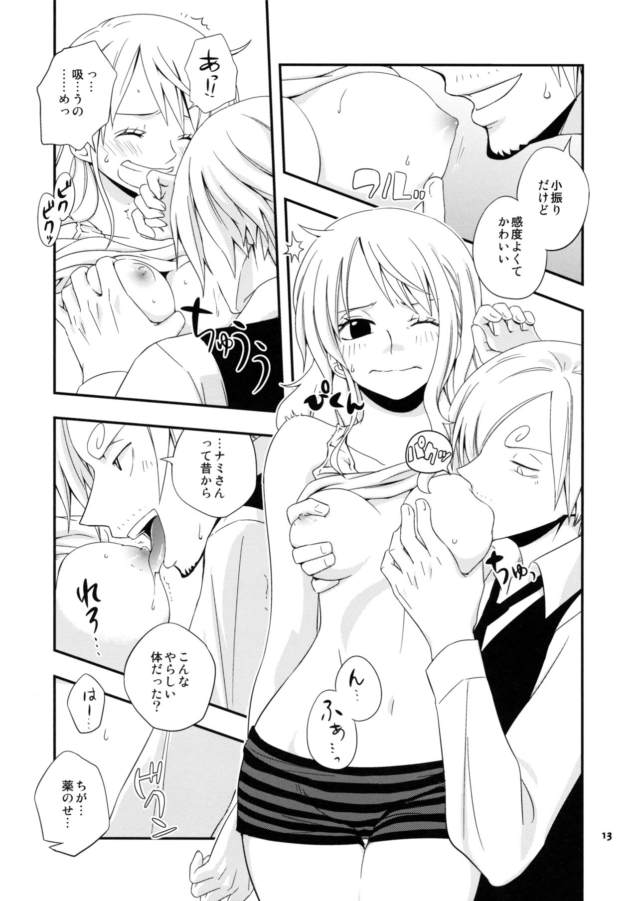 (C84) [Orange Typhoon (Yamada Enako)] Young And Pretty Lover (One Piece) page 13 full