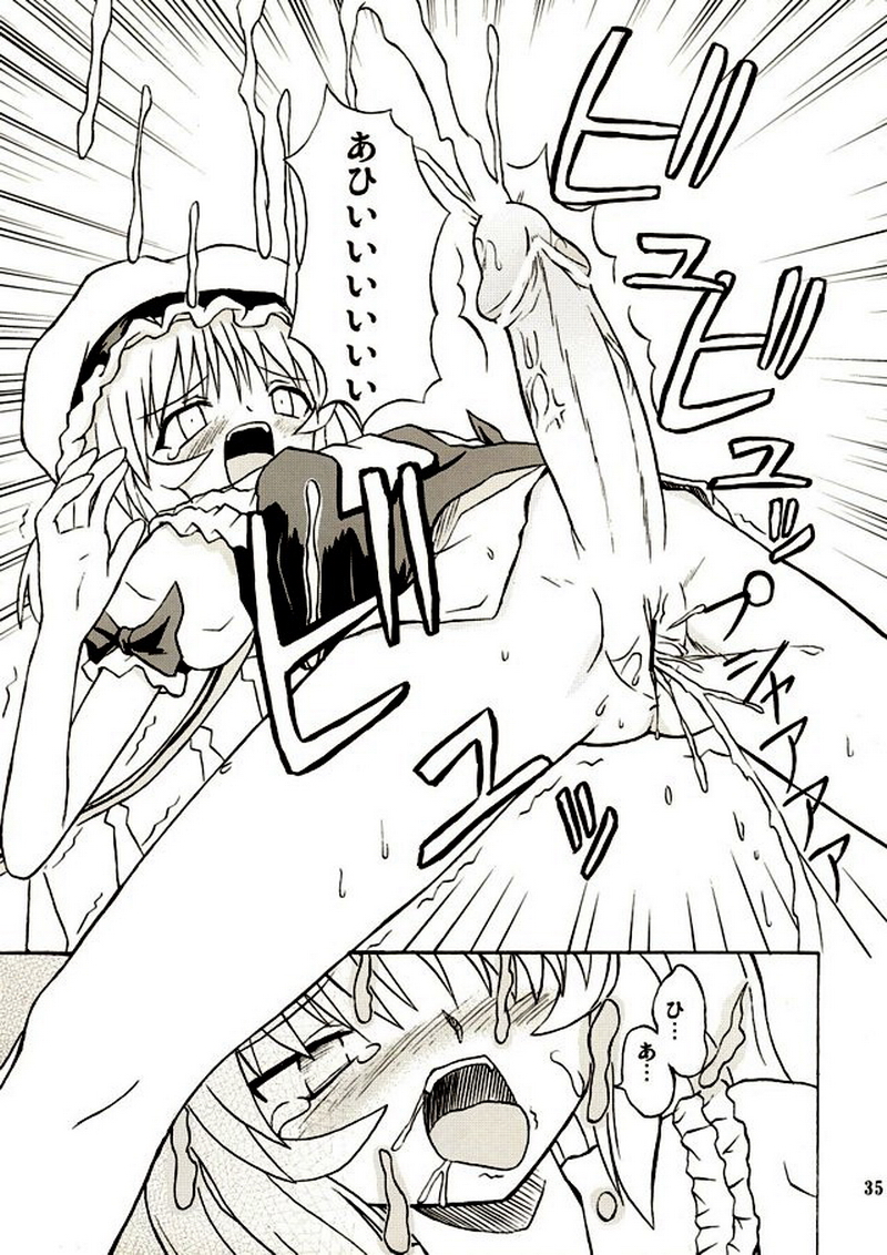 (Reitaisai 2) [Takakuya (Takaku Toshihiko)] Touhou Youjo Ranbu 2 (Touhou Project) page 34 full