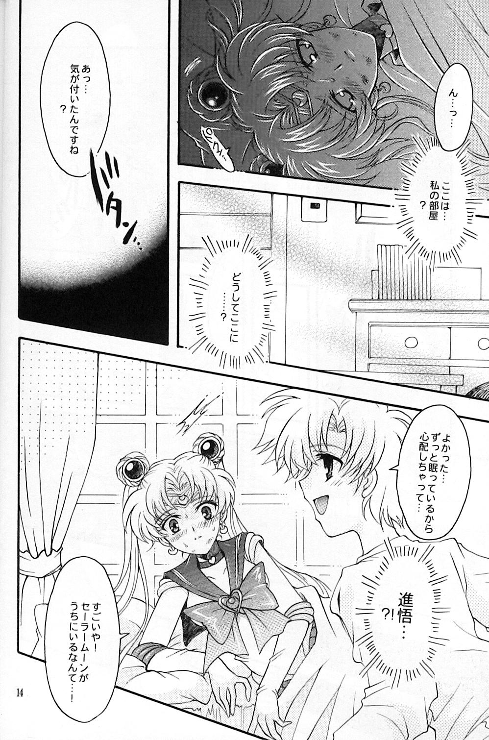 (C67) [Kotori Jimusho (Sakura Bunchou)] chanson de I'adieu (Sailor Moon) page 15 full