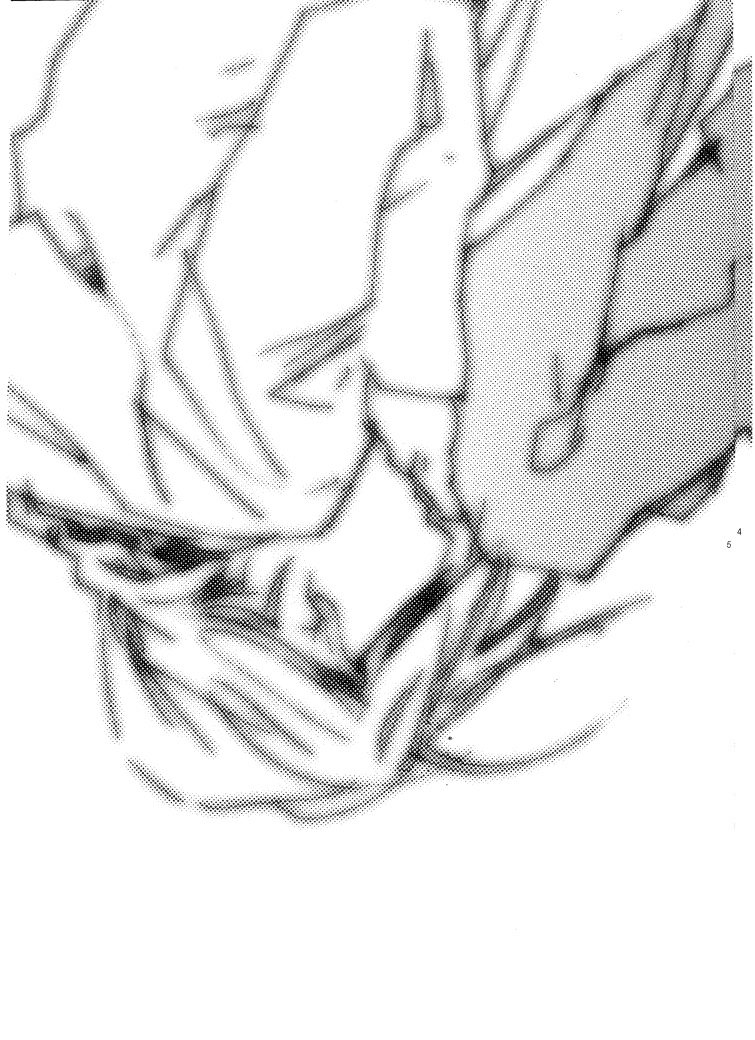 [GD-mechano (Izumi Yakumo)] Love Me Tender (Fullmetal Alchemist) [English] [Scan-Clan] page 6 full