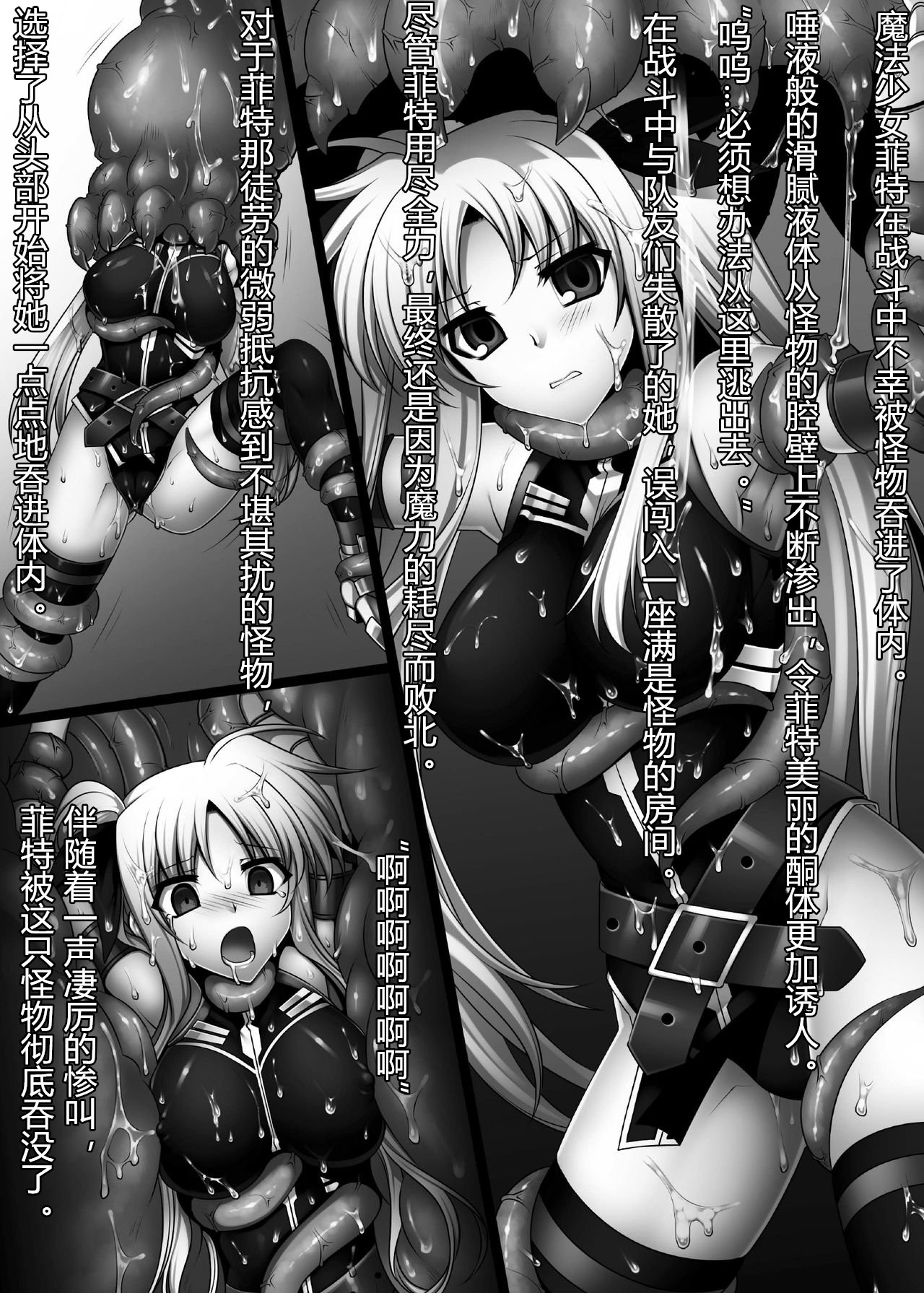 [Daraku Jiko Chousa Iinkai (Sch-mit)] Daraku Shitsumukan (Mahou Shoujo Lyrical Nanoha) [Chinese] [村长个人汉化] [Digital] page 3 full