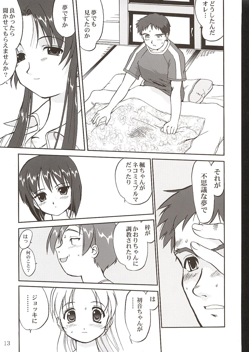 (C63) [Takotsuboya (TK)] Kaede-chan no Yuuutsu!! (Kizuato) page 12 full