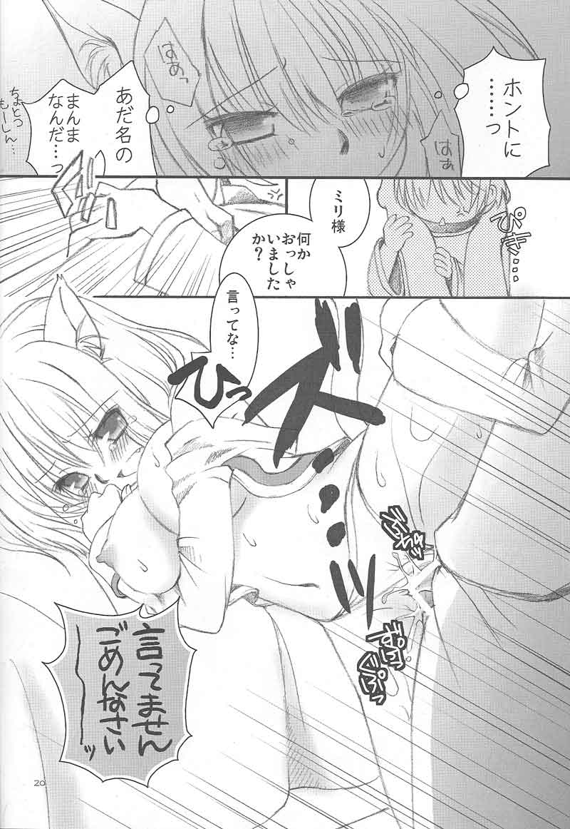 (C73) [chaotic_prism (Asato)] Fuusui Inoshishi (Final Fantasy XI) page 19 full
