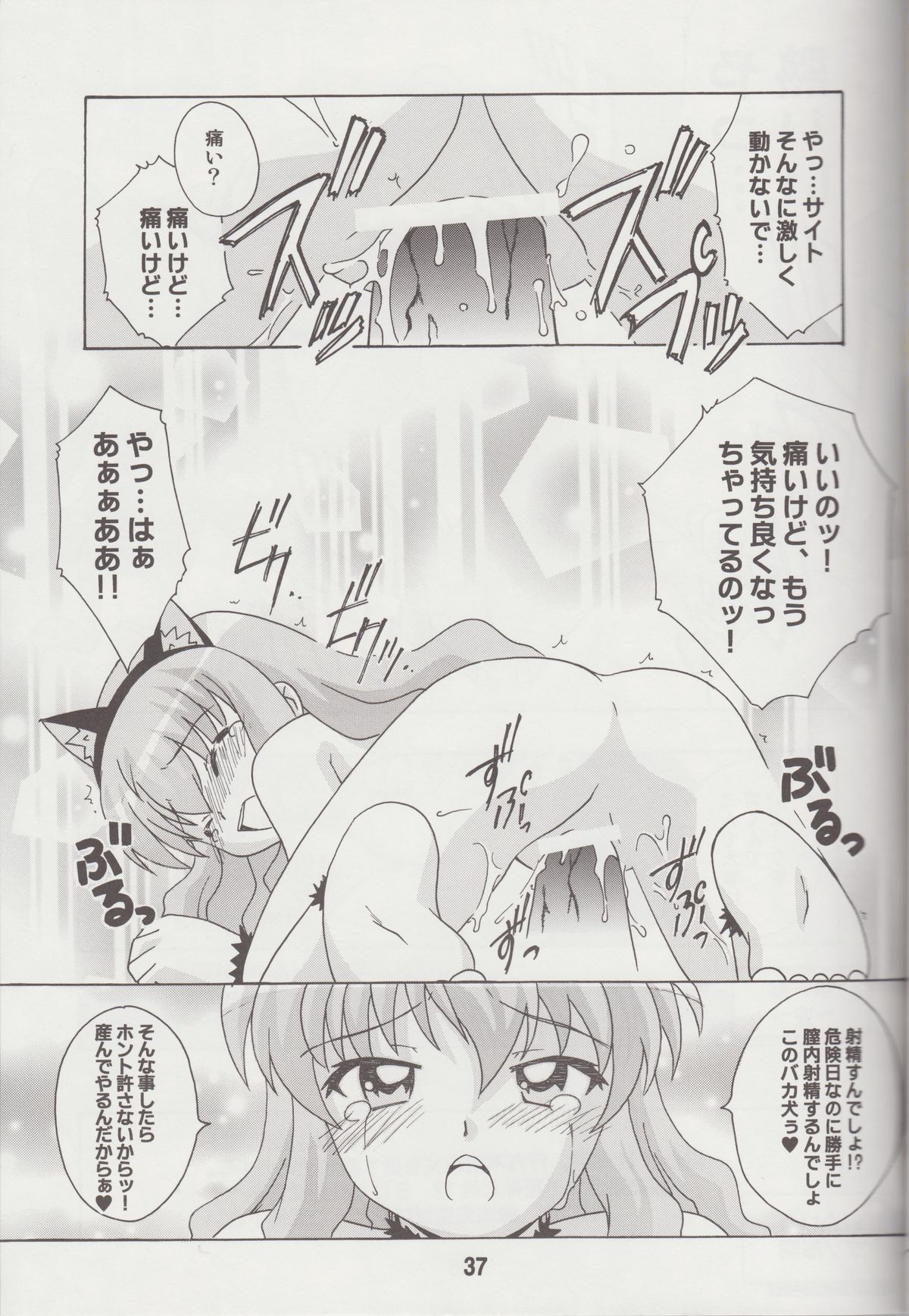 (C74) [Shinohara Heavy Industry (Various)] Louisex (Zero no Tsukaima) page 36 full