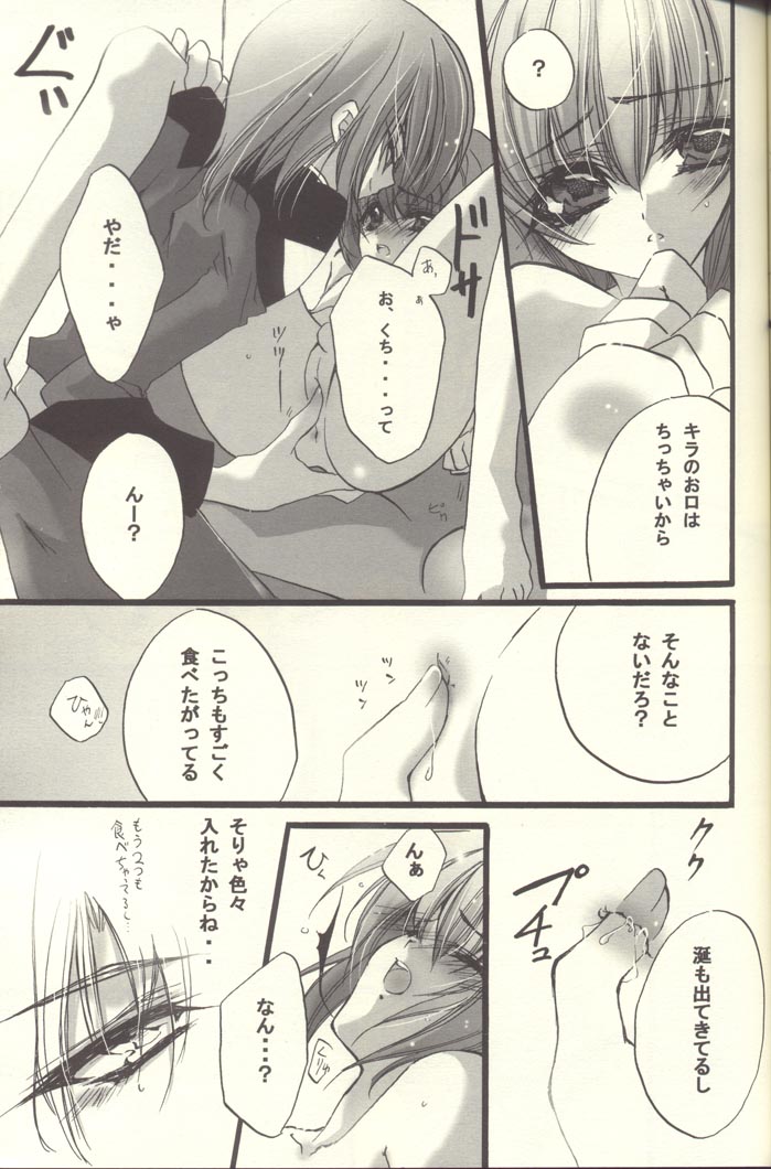 [RIRIADOLL (Takewaka Maru)] Chocolate Time (Mobile Suit Gundam Seed Destiny) page 28 full