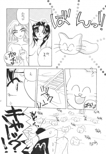 (CR19) [Digital Lover (Takanami Sachiko)] DESIR SEXUEL (Neon Genesis Evangelion) - page 23