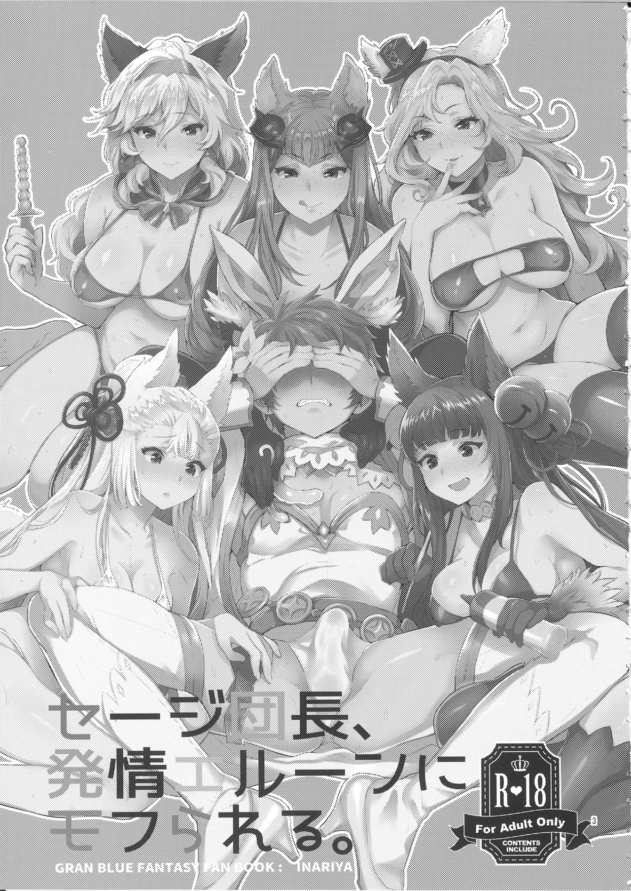 (SC2016 Summer) [Inariya (Inari)] Sage Danchou, Hatsujou Elune ni Mofurareru. (Granblue Fantasy) [English] [Anomalous Raven] page 2 full