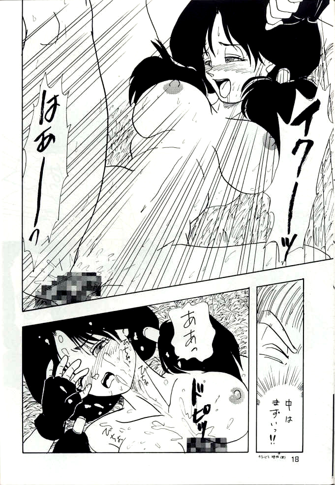 [Chirigami Goya, Fusuma go Ten (Shouji Hariko)] YYY (Dragon Ball) page 18 full