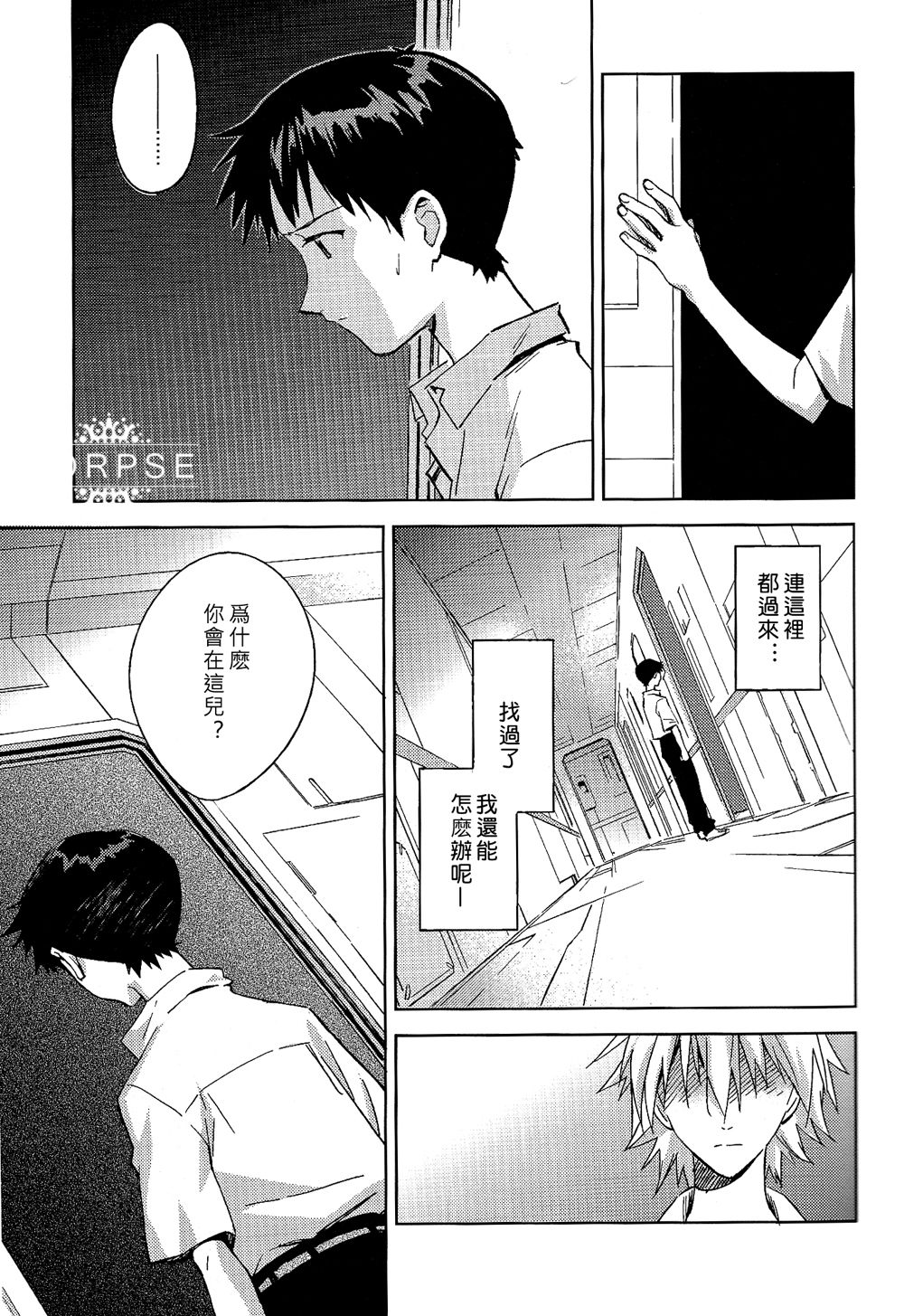 (C84) [cassino (Magarikoji Lily)] ENDLIGHT (Neon Genesis Evangelion) [Chinese] [尸体汉化组] page 18 full