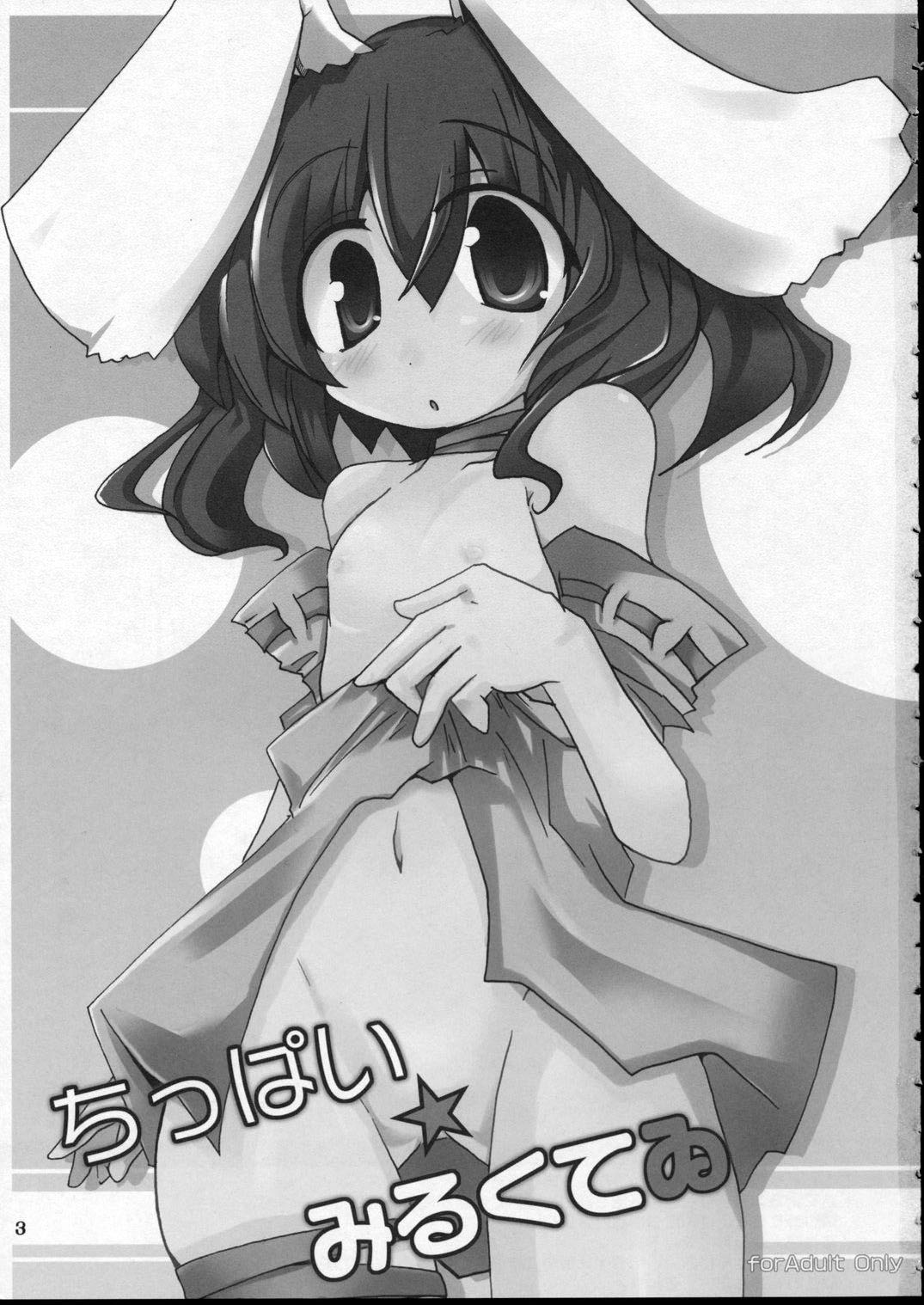 (Reitaisai 4) [Oppawi Shitei (Shirogane, Ushimura Gonzou)] Chippai Milk Tewi (Touhou Project) page 2 full