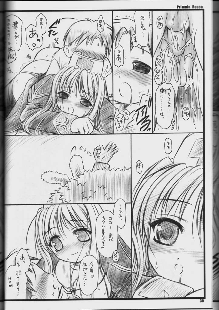 (C65) [Yakan Hikou (Inoue Tommy)] PRIMULA Rosea (Ragnarok Online) page 29 full