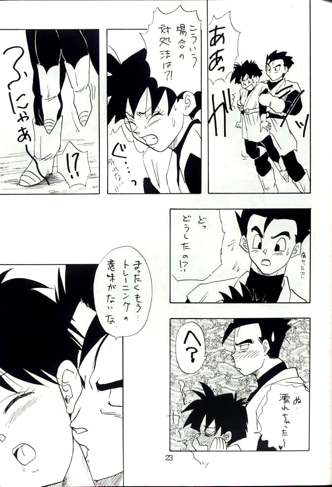 [Chirigami Goya, Fusuma go Ten (Shouji Hariko)] YYY (Dragon Ball) page 23 full