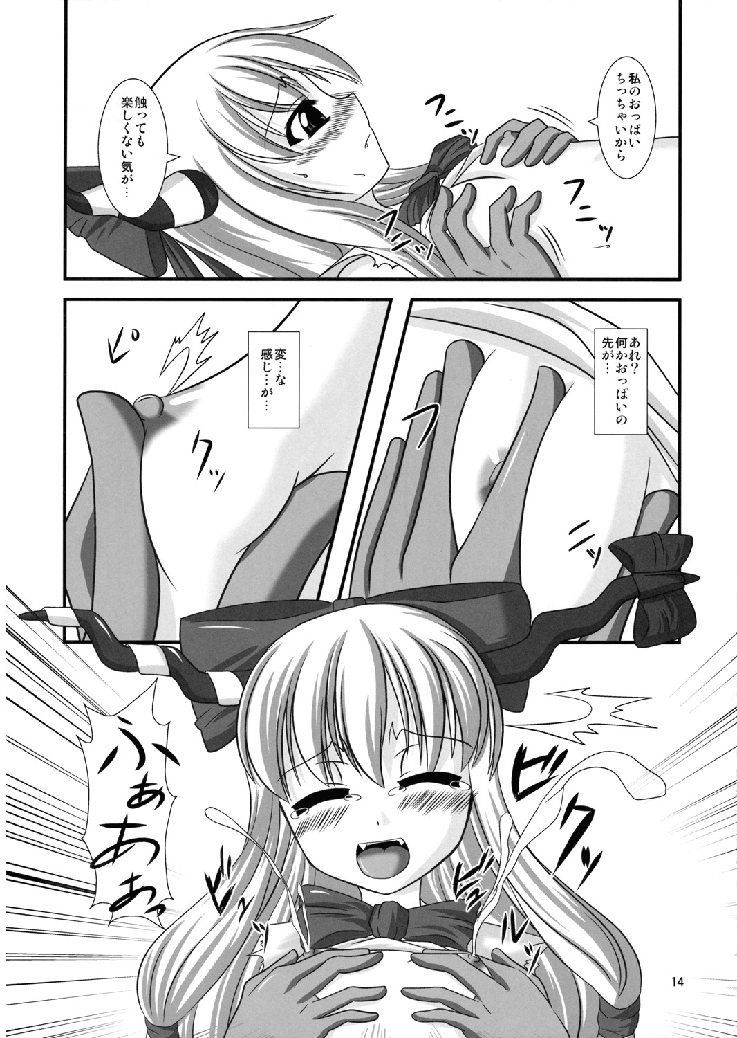 (C75) [Endless Requiem (yasha)] Midare Oni (Touhou Project) page 13 full