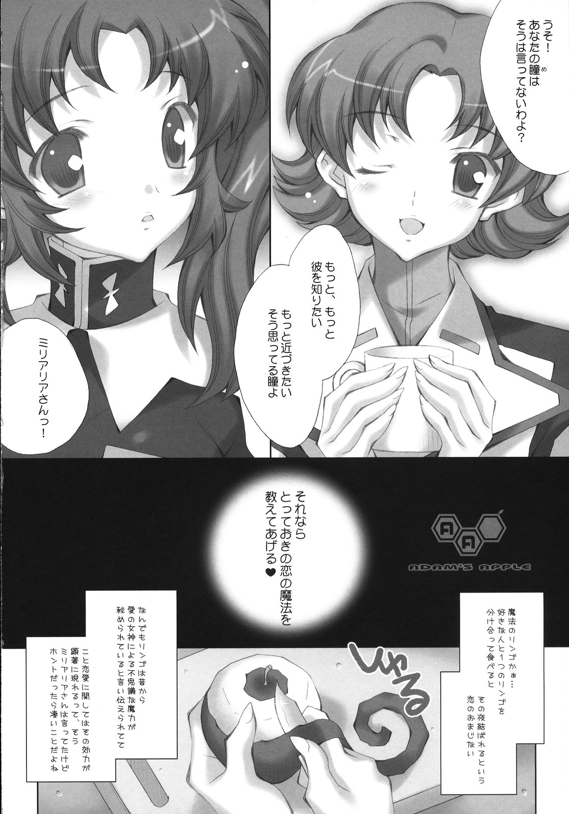 (C72) [LiZ (Satomi Hinako)] ADAM'S APPLE (Gundam SEED DESTINY) page 5 full