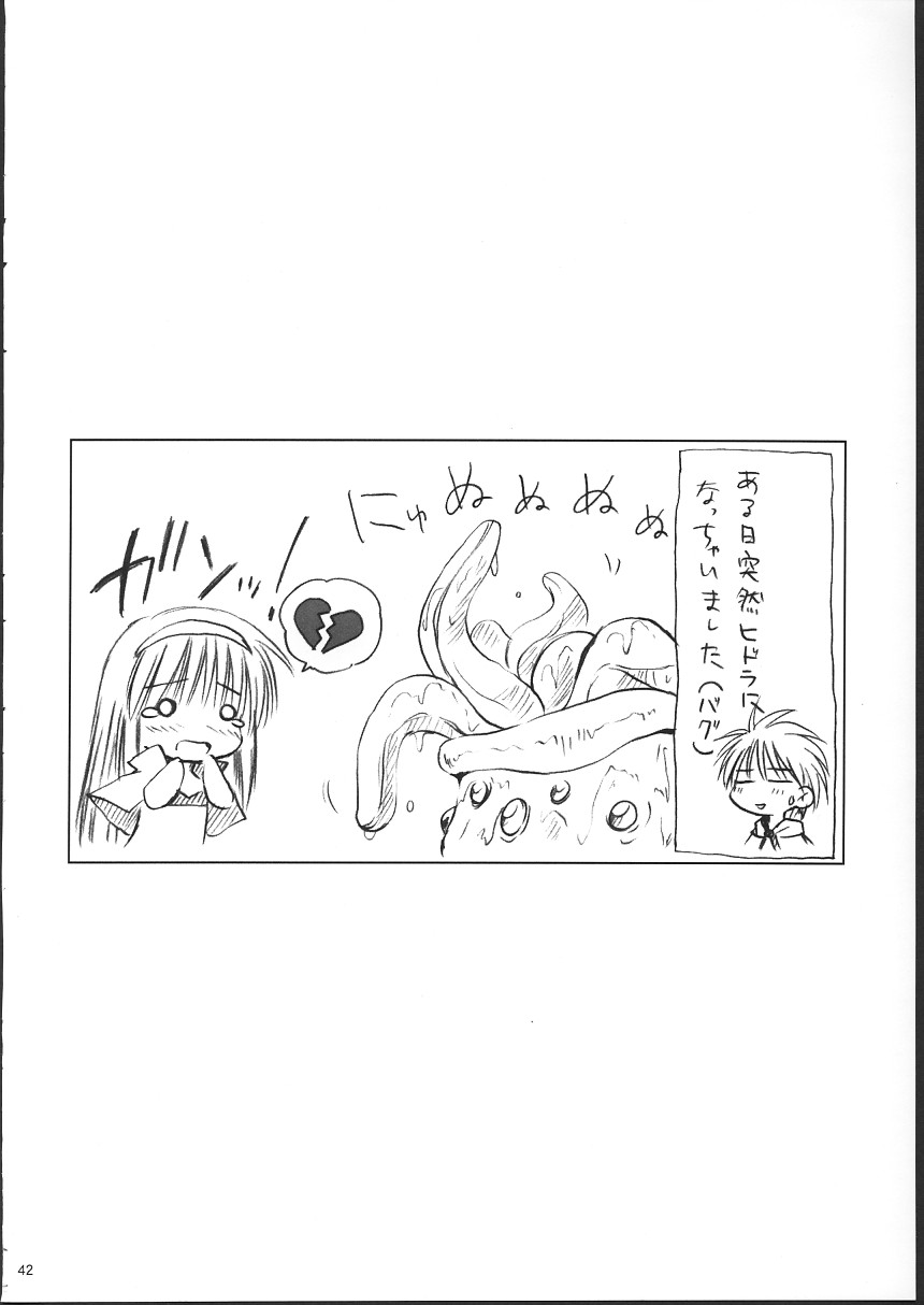 [Mizukidou] らぐくろ (Ragnarok Online) page 41 full