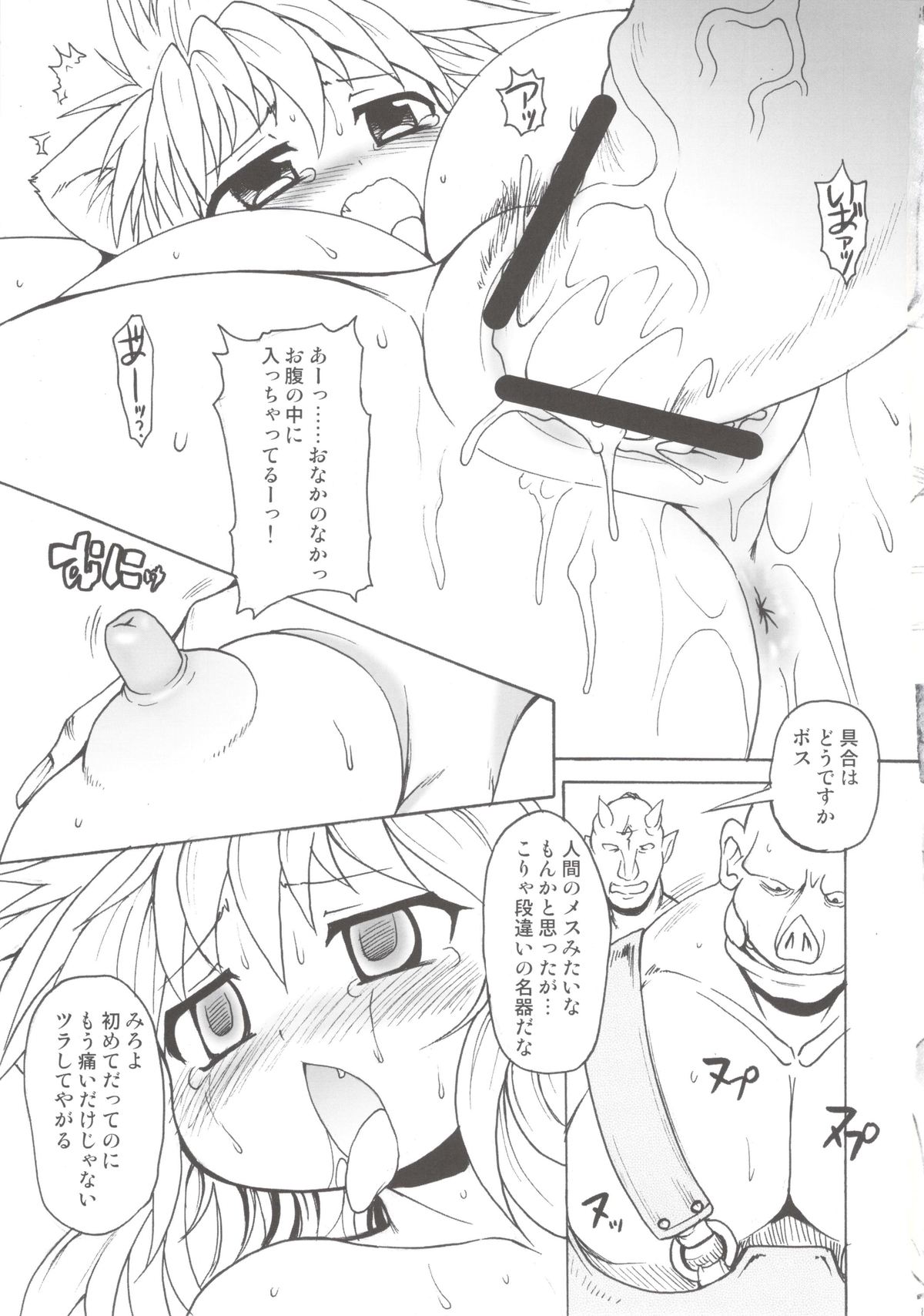 (C76) [Shimanto Seiryuu (Shimanto Youta)] Nyan Sword page 17 full