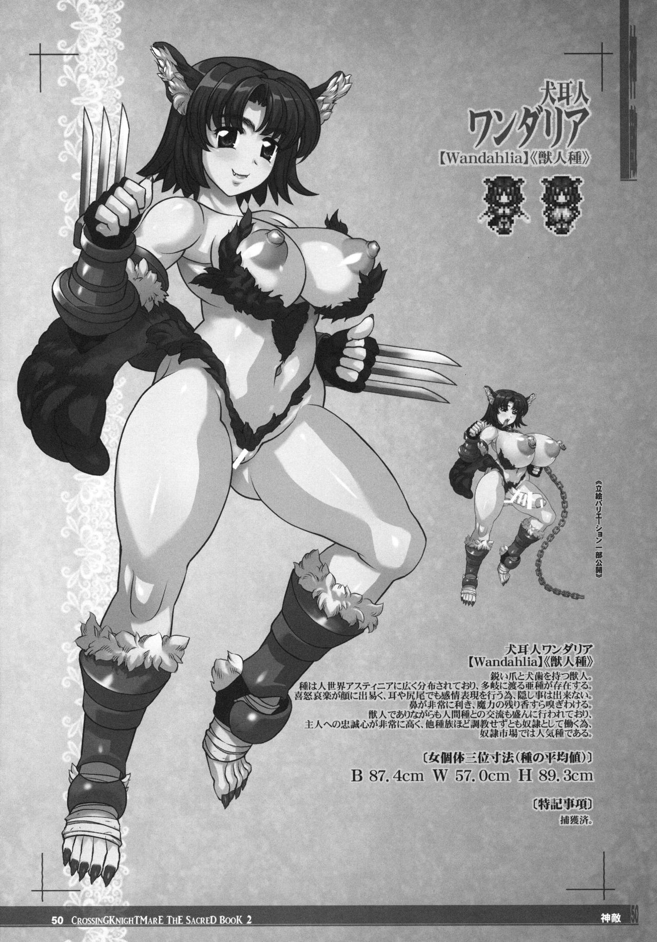 [KI-SofTWarE (Various)] CrossinG KnighTMarE ThE SacreD BooK2 [Digital] page 50 full
