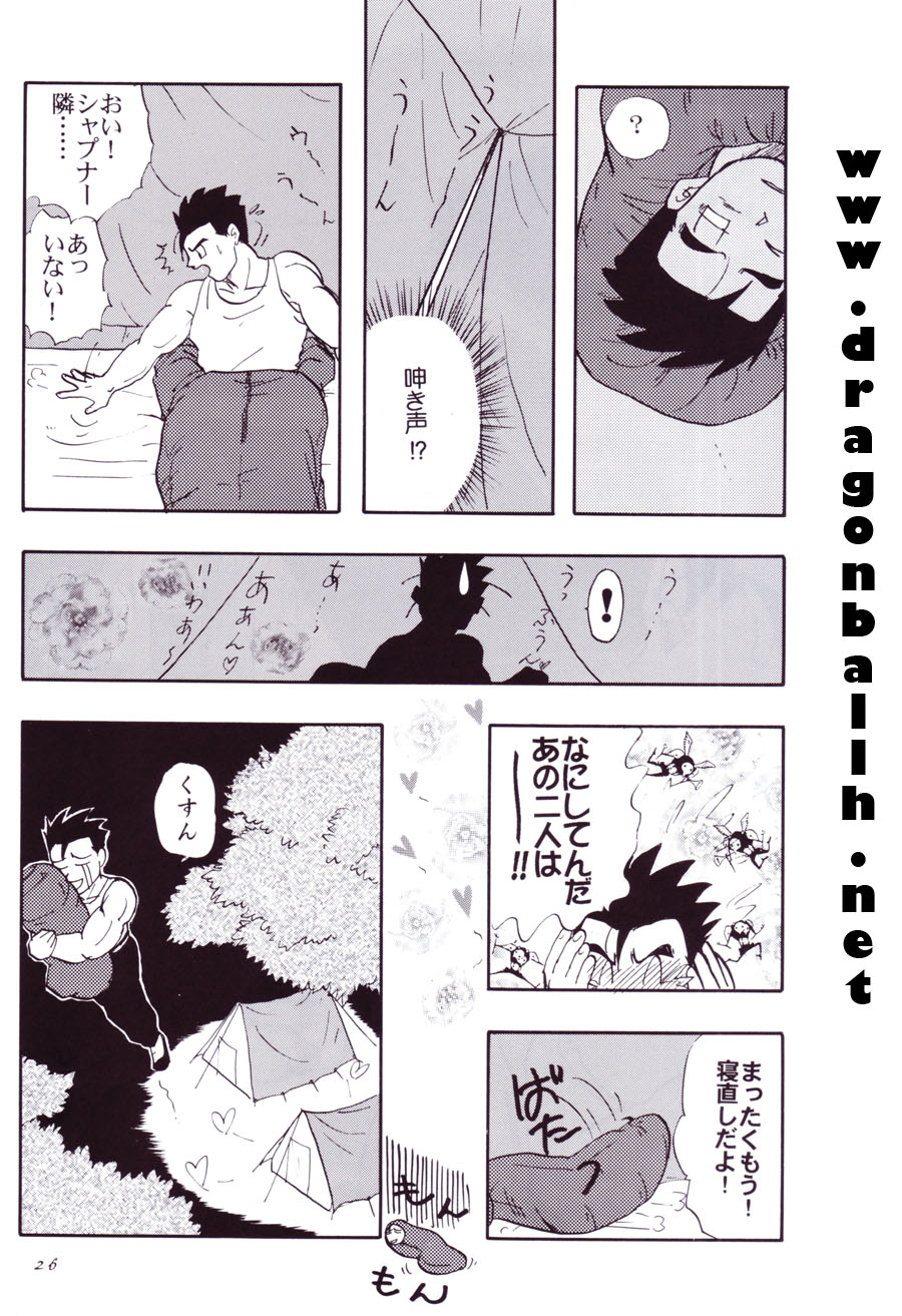 (C54) [Chirigami Goya, Fusuma go Ten (Shoji Hariko)] Tirinuruwo (DRAGON BALL) page 26 full