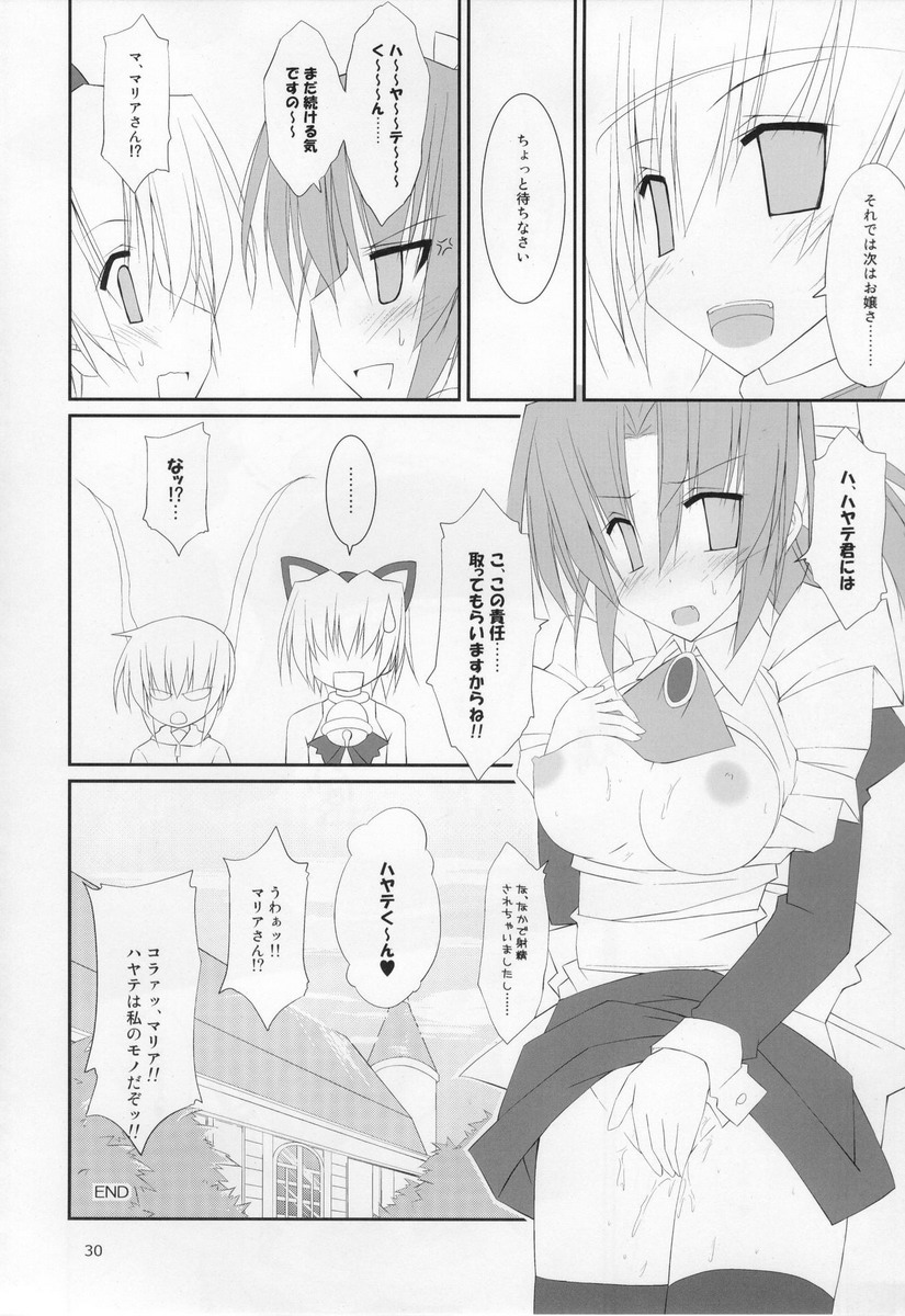 (C76) [r.i.s factory (Ruschuto)] PUNISHMENT 2 (Hayate no Gotoku!) page 29 full