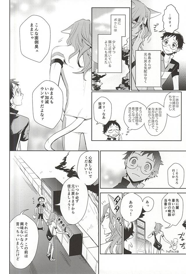 (C88) [DAIRA (Himeno)] Makishima-san ga Neko ni Natteshimaimashita. (Yowamushi Pedal) page 13 full