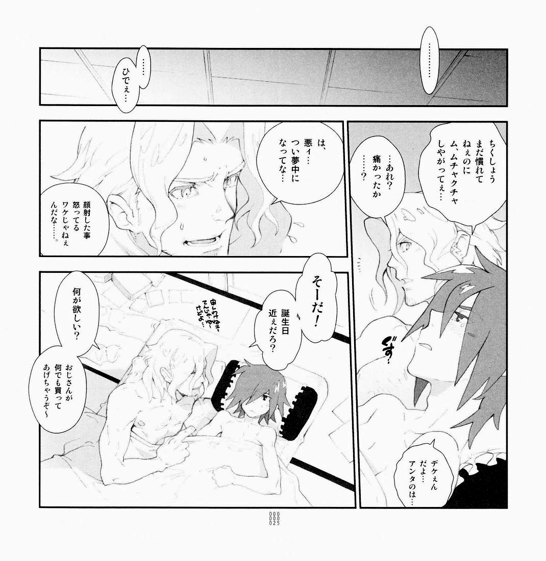 [Article 60 of Criminal Code (Shuhan)] Yojouhan Seikatsu. 2009 Harugou (Skies of Arcadia) page 24 full