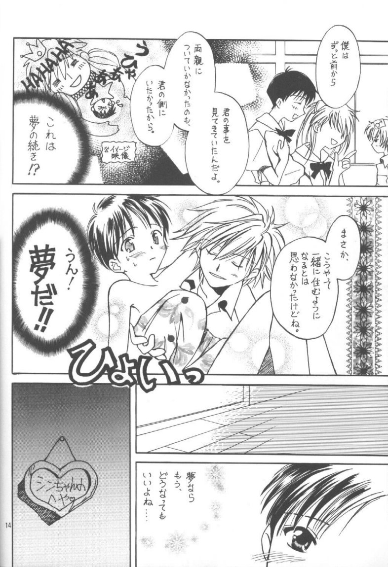 (C55) [Fairy Tale House (Phoenicia Masako)] Hasu Kriya (Neon Genesis Evangelion) page 13 full