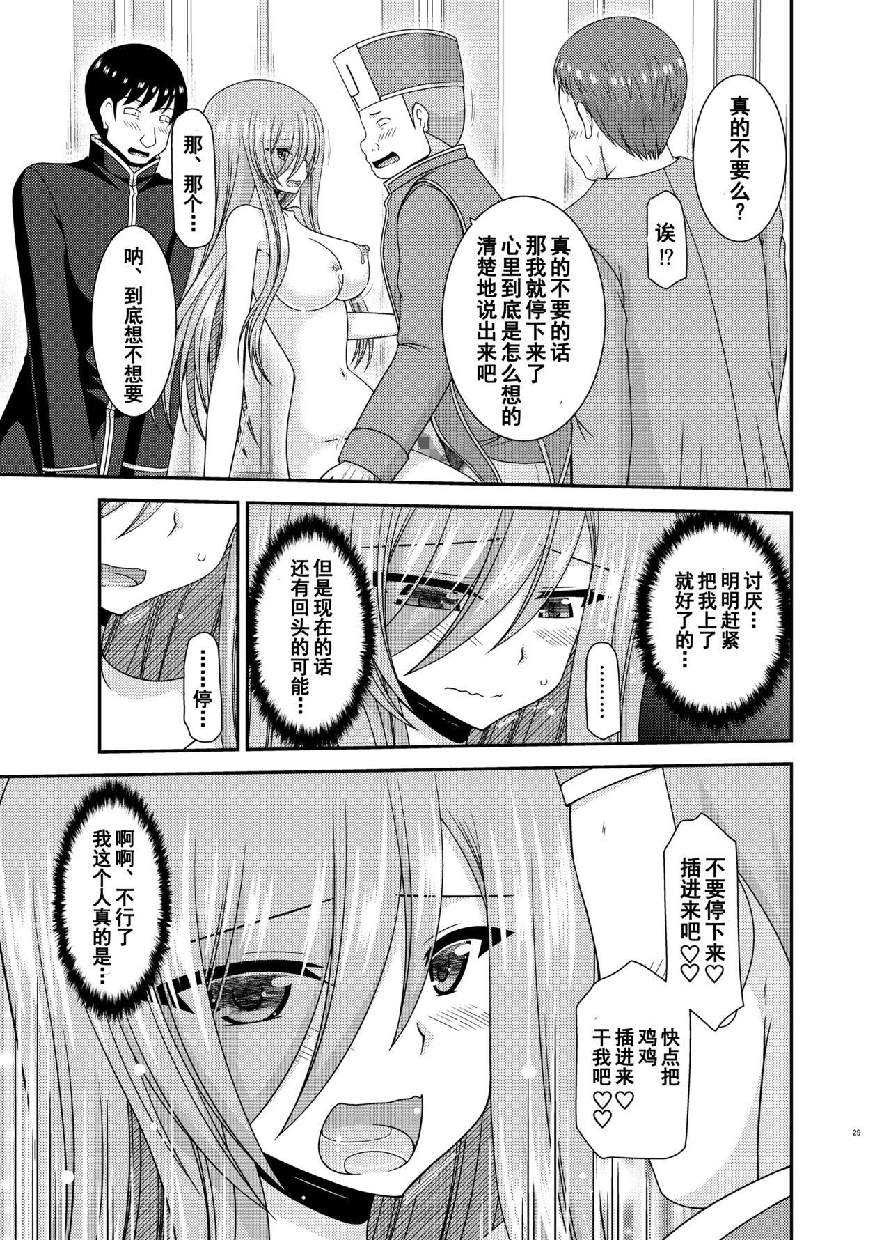 [valssu (Charu)] Melon ga Chou Shindou! R16 (Tales of the Abyss) [Chinese] [流星汉化] [Digital] page 28 full