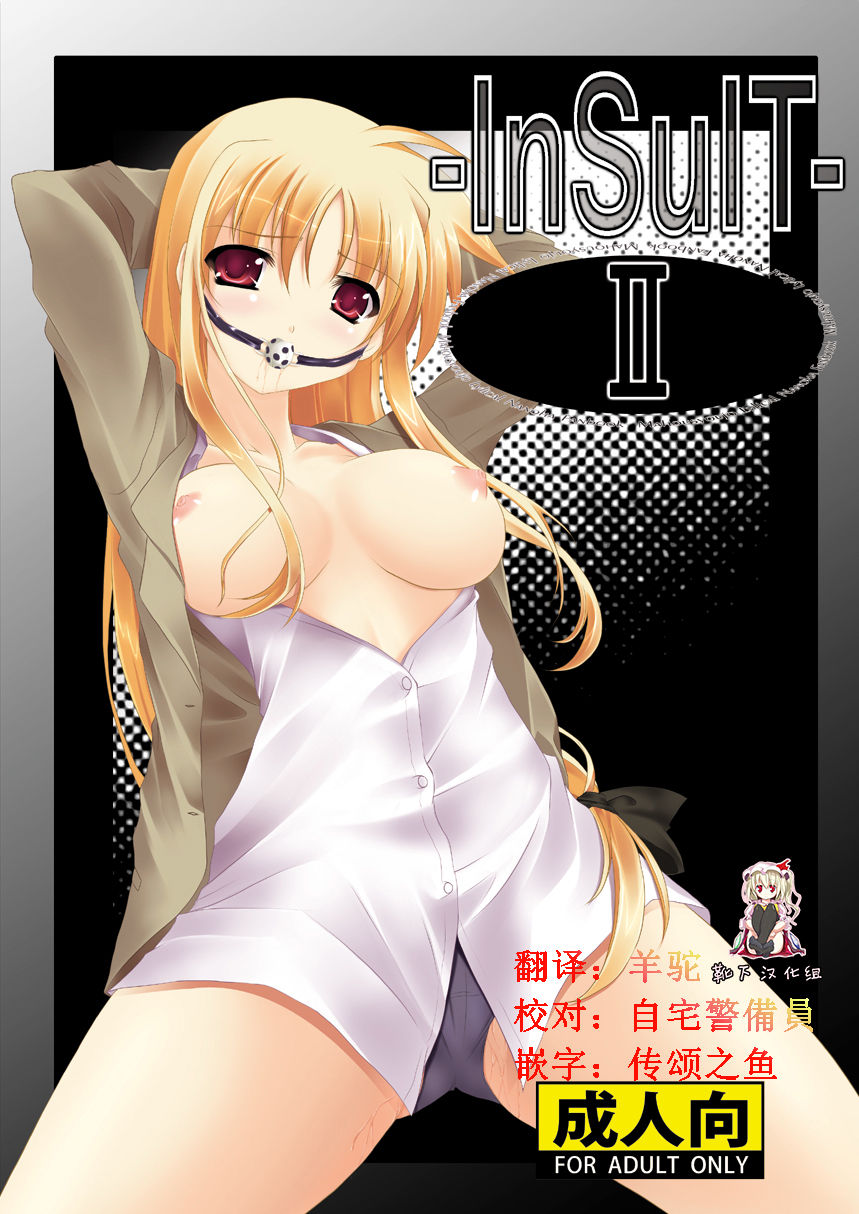 (C74) [TRICKorTREAT (Kagura Tsukune)] InSulT II (Mahou Shoujo Lyrical Nanoha) [Chinese] [靴下汉化组] page 1 full