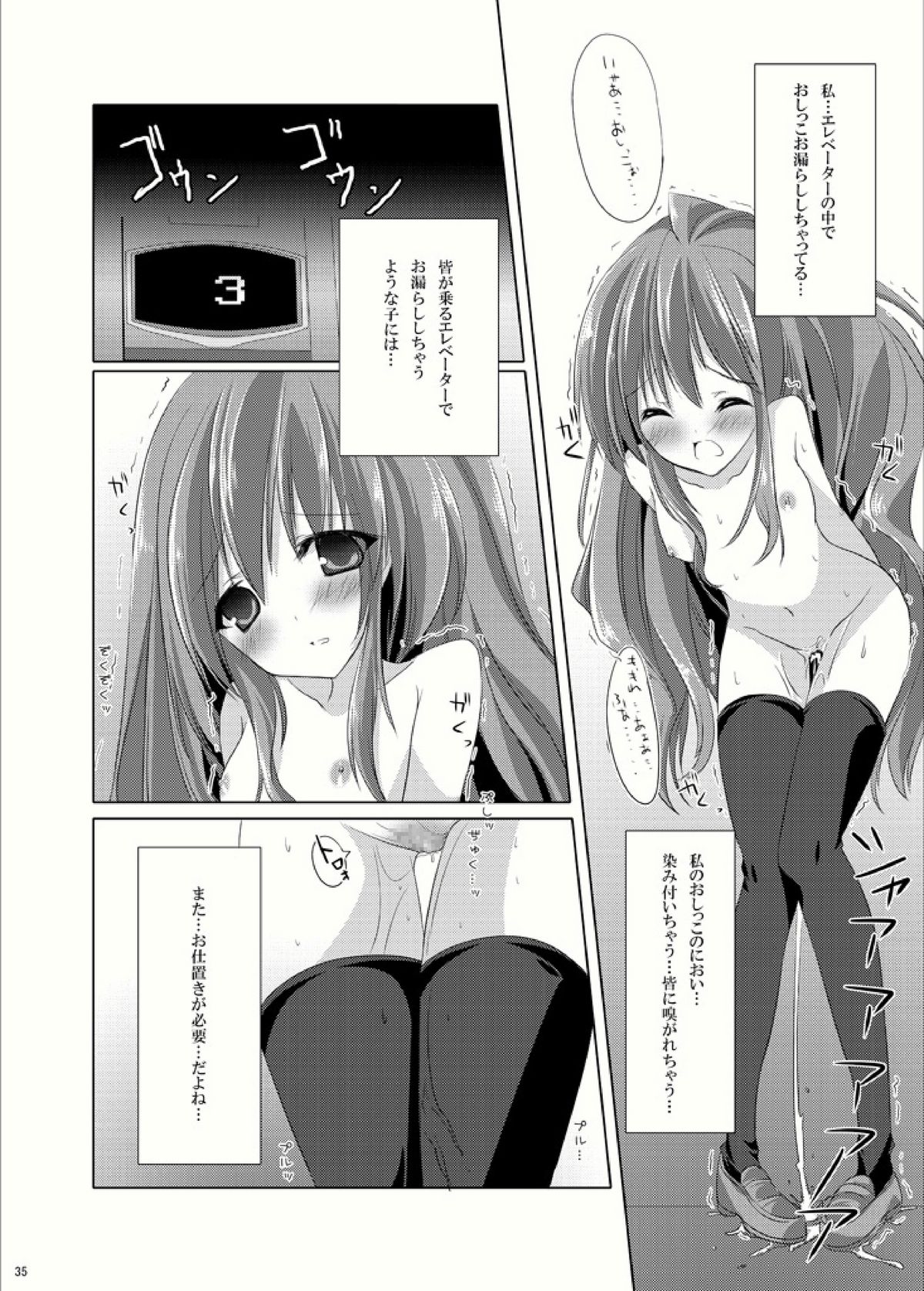 [Mint Chocolate (Himuro Kouichi, Raw)] Roshutsu Shoujo Tora (Toradora!) [Digital] page 34 full