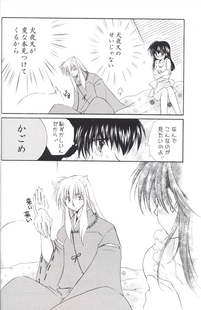 (C67) [Sakurakan (Seriou Sakura)] Lovers (InuYasha) page 48 full