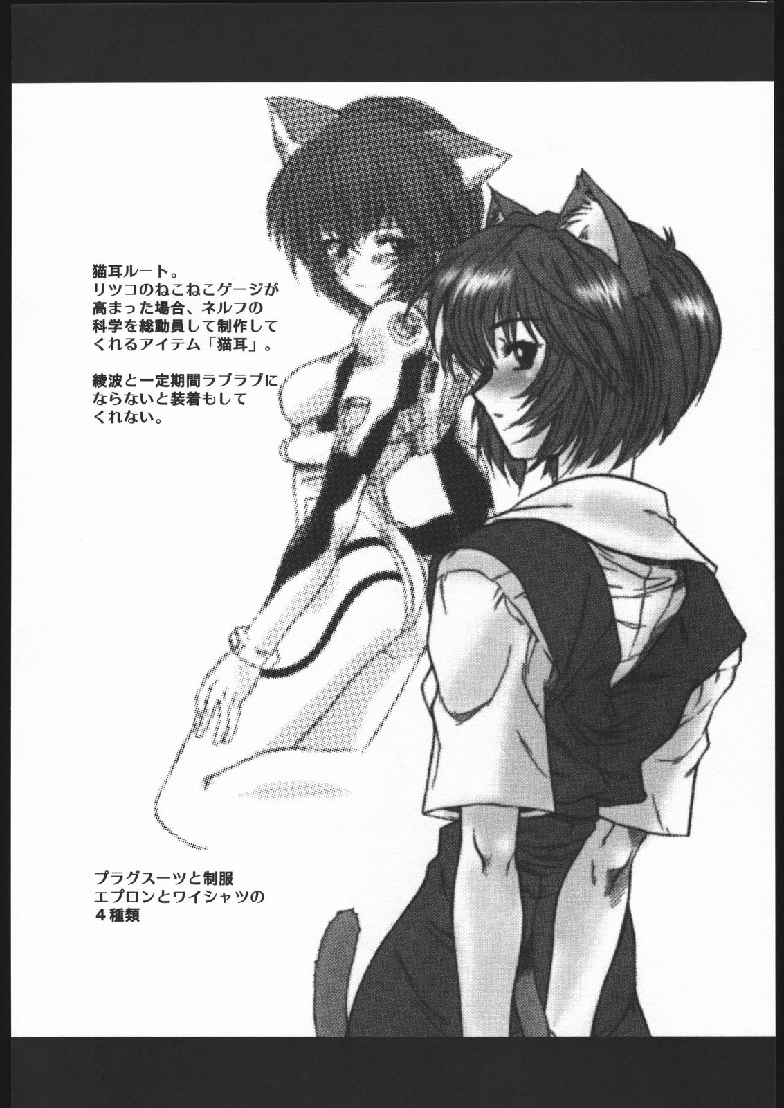 (SC27) [Dennou Denpa Hatsureisho (Harukaze Koucha)] Ayanami Ura Ikusei Keikakusho Daiichiji Houkokusho (Neon Genesis Evangelion) page 4 full