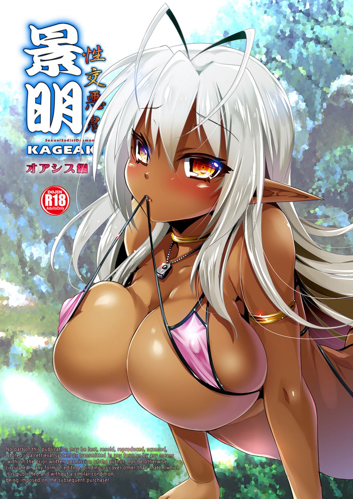 [Moon Night Kitten (Kouki Kuu)] Seikou Akki Kageaki Oasis Hen (Full Metal Daemon Muramasa) [Digital] page 1 full